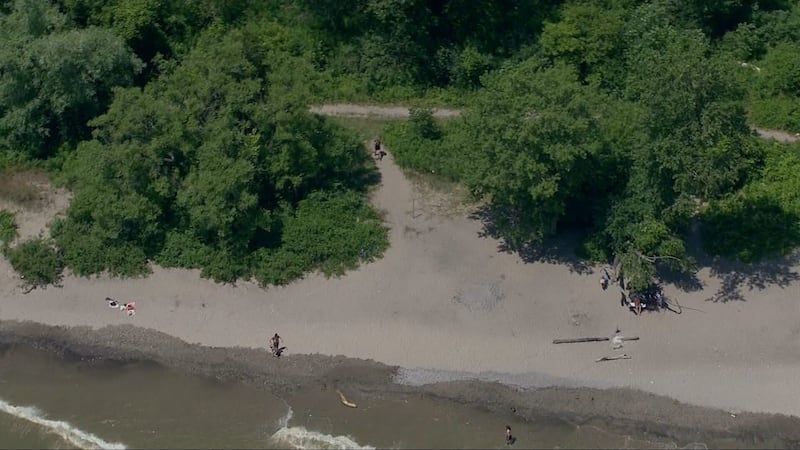 Woman dragged off path and sexually assaulted in Whitby: police
