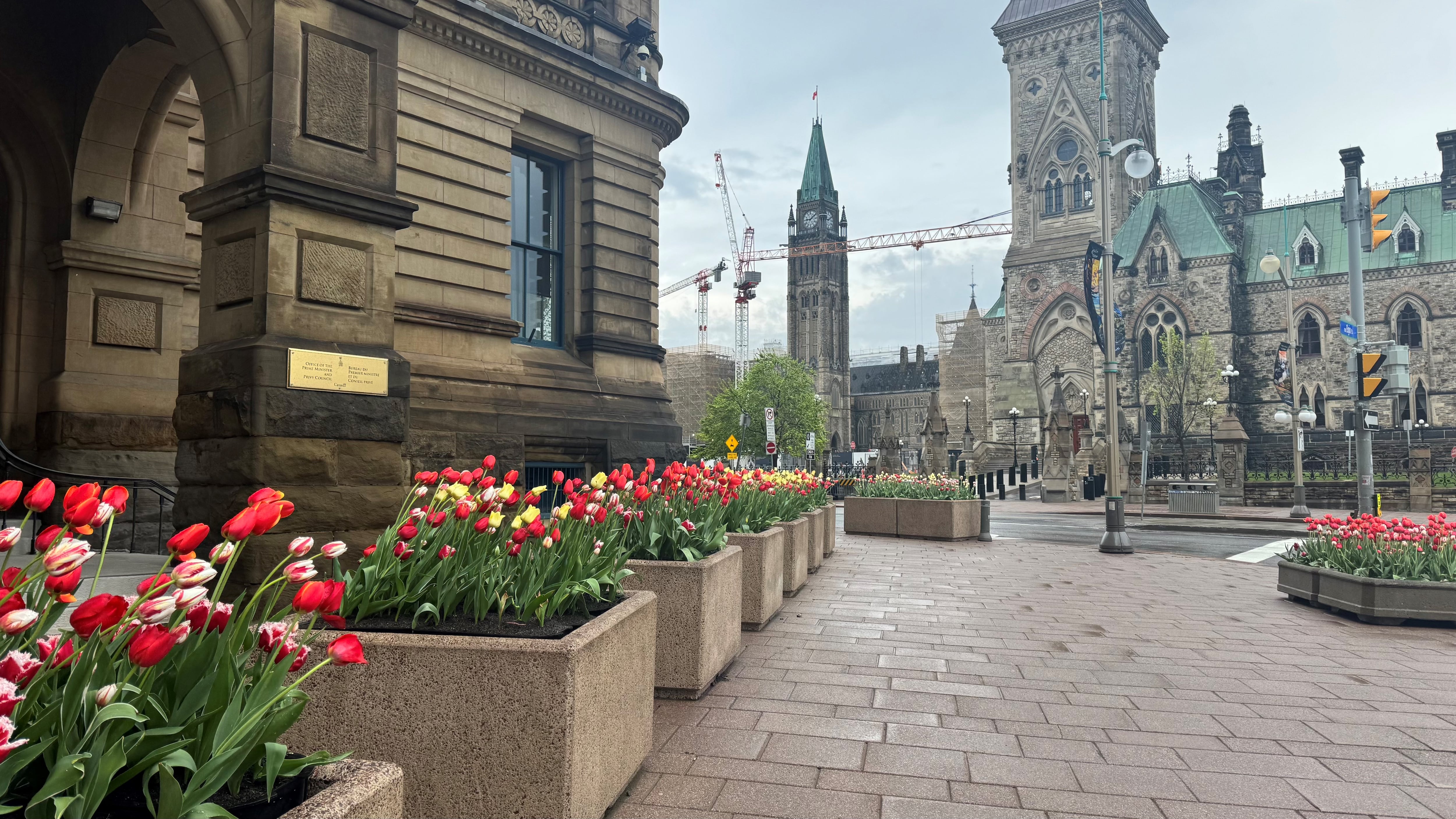 Severe thunderstorm watch in effect for Ottawa Tuesday evening