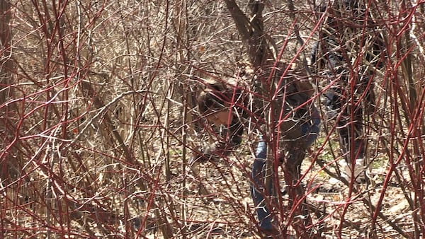 Search for Eli Wood continues more than five months after disappearance
