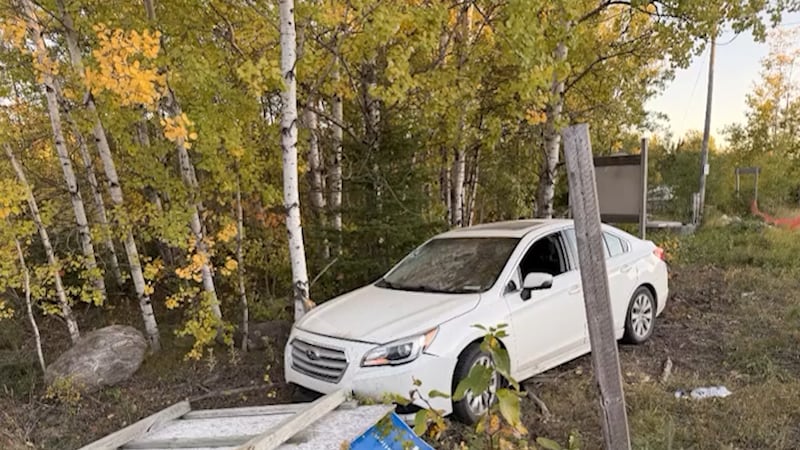 OPP say Alberta driver blew more than twice the legal limit