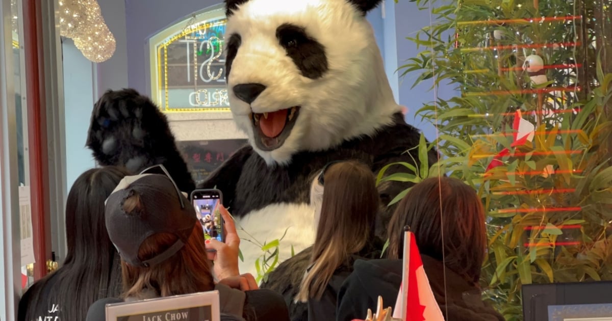 Famously narrow Vancouver building becomes habitat for animatronic ...