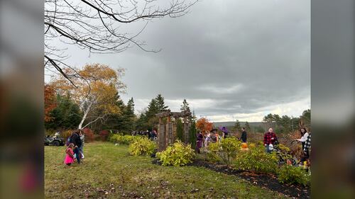 Trick-or-treaters are pictured at the Gaetz Brook Greenway for the Halloween Trick-or-Treat Trail Walk in East Chezzetcook, N.S., on October 25, 2025. (Emma Convey / CTV Atlantic)