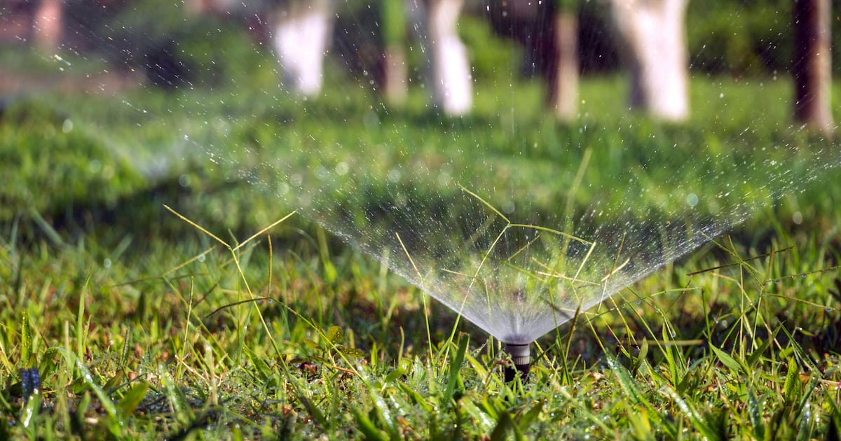 N.S. news: Water conservation orders in place