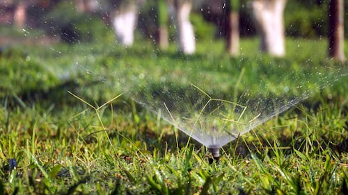 How to keep your lawn healthy this summer