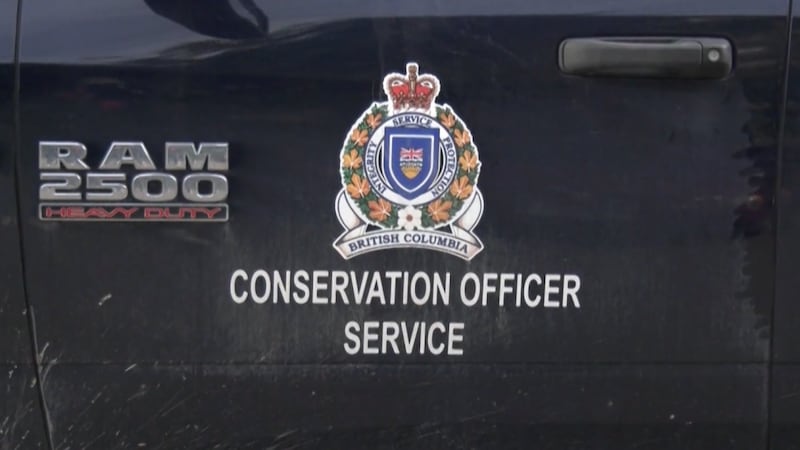 B.C. hunting guide fined $30K for leading client outside designated area