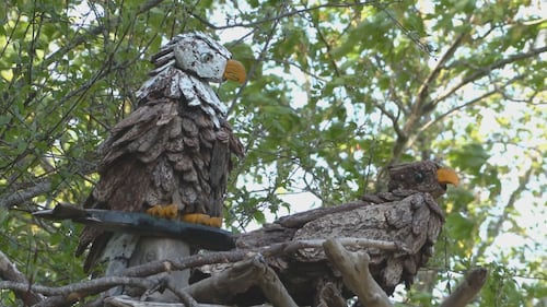 B.C. father builds elaborate bird sculptures to honour late son