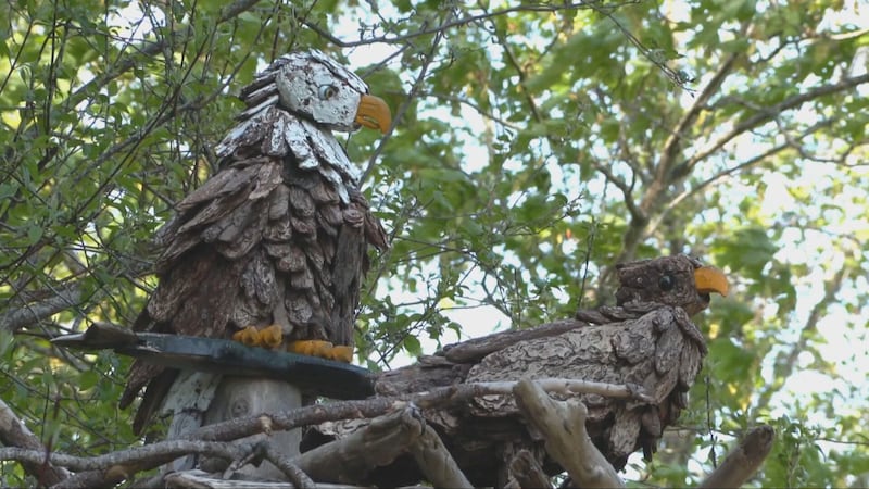B.C. father builds elaborate bird sculptures to honour late son