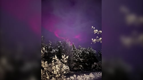 The Northern Lights are pictured in Brooklyn, N.S., on Jan. 19, 2026. (Courtesy: Matthew Barkhouse)