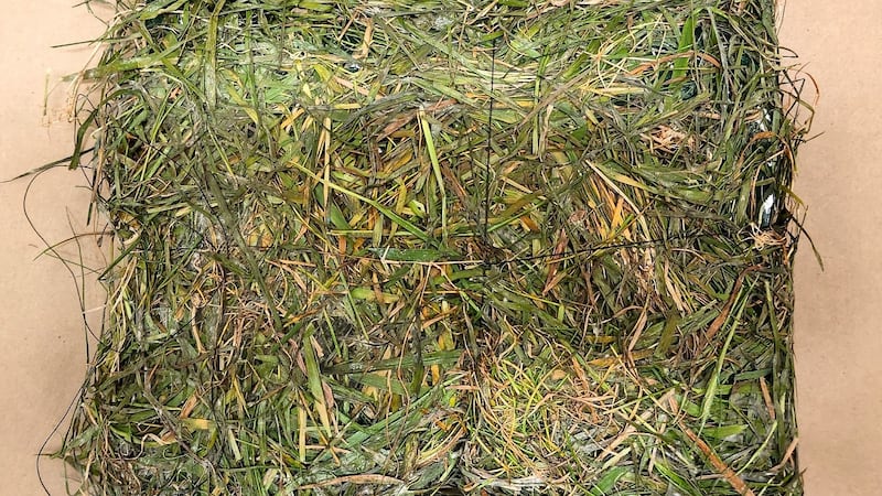 B.C. prison package ‘cleverly’ disguised as grass contained drugs, contraband