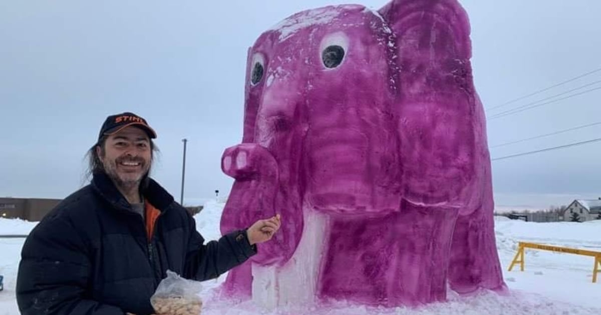 The unusual tale of how Neguac, N.B., got a giant purple elephant