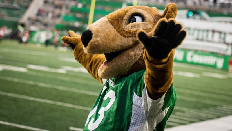 Saskatchewan Roughrider Foundation invests $3.3 million to amateur football