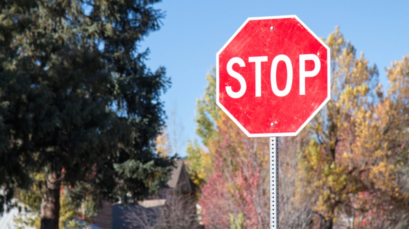 Saskatchewan RCMP reminding drivers to abide by stop signs