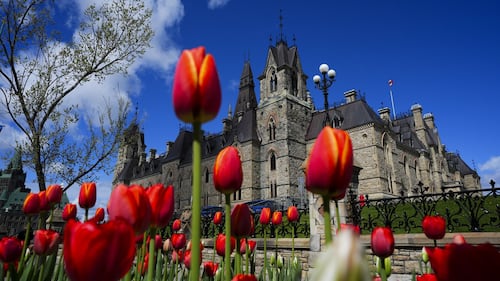 House of Commons passes bill criminalizing forced sterilization