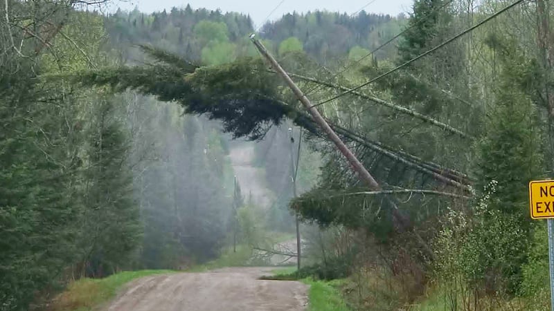 Storm knocks out power, downs trees, hydro poles in Mattawa