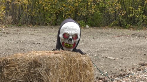 Saskatoon’s Berry Barn puts the scare in visitors with haunted house