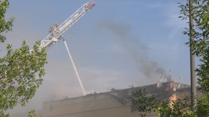 ‘Just chaos’: Calgary fire crews respond to industrial fire in city’s northeast