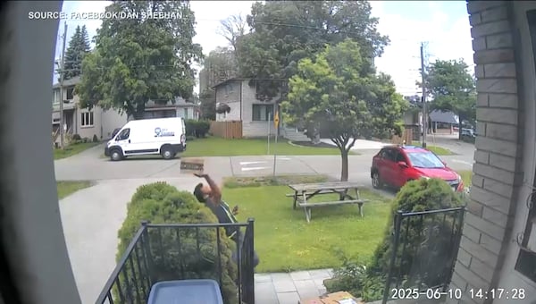 ‘A daily event’: Red-winged blackbirds attack Etobicoke residents