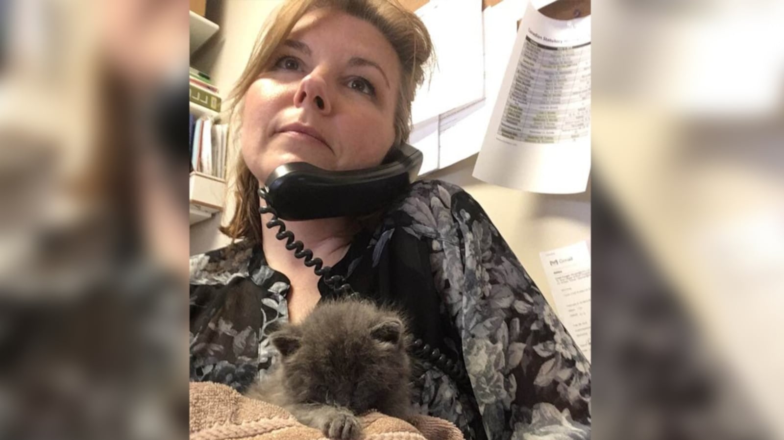 Raul Ristmae Meet your Neighbour: Laurie Ristmae of ARF Ontario and EVAH
