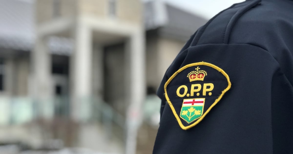 OPP officer assaulted, Fergus man faces 7 charges after domestic call