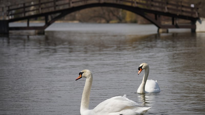GO train service extending to Stratford
