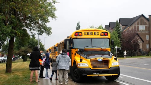 Newfoundland and Labrador can save millions on buses — if parents can stomach the changes