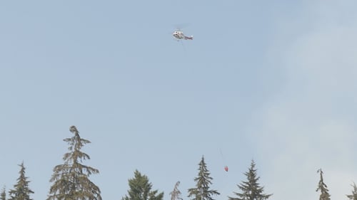 2 homes evacuated, others on alert as wildfire burns in Metro Vancouver park