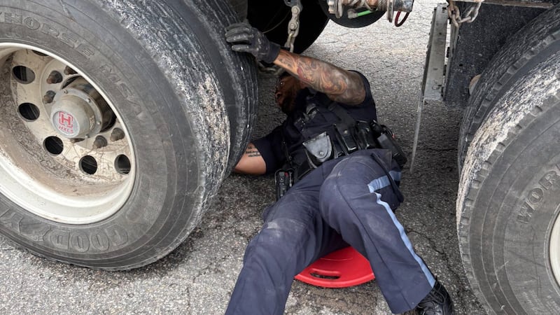 Unsafe trucks pulled off Collingwood roads