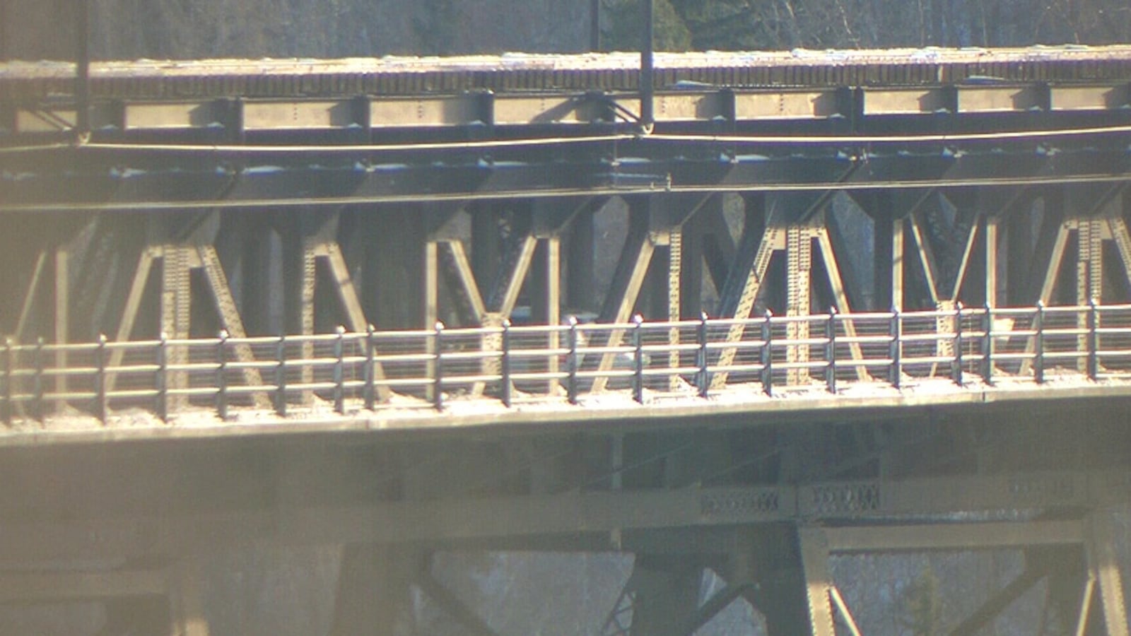 Bridge Reduce Level City trying to reduce suicides off High Level Bridge