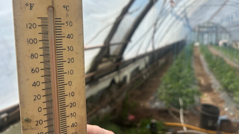 Maritimers respond to record setting temperatures