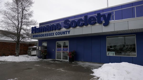 Judge orders do-over vote at Windsor-Essex Humane Society after members were blocked