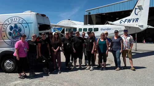 Rescued northern Ont. dogs to be reunited with displaced owners or find new homes