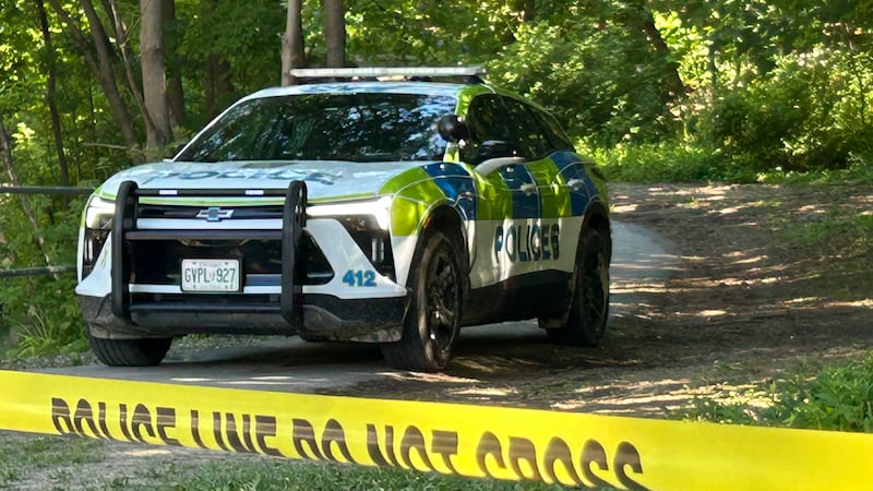 Bones discovered at Berczy Street park believed to be human remains, police say