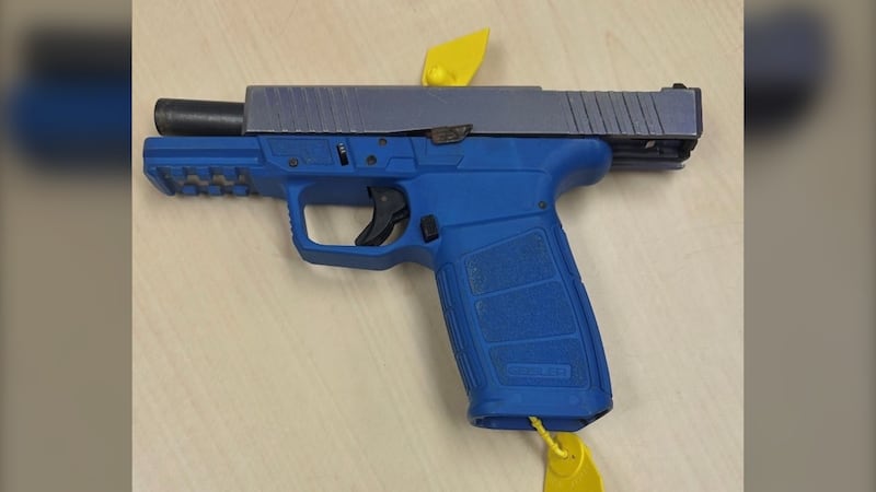 Two men face multiple firearm charges after stolen car stopped on Highway 17