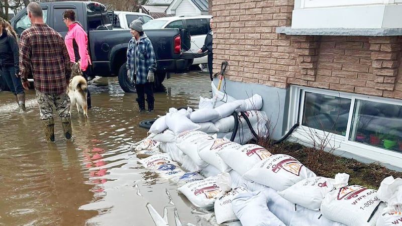 Residents in Chelmsford, Ont., cope with spring flooding