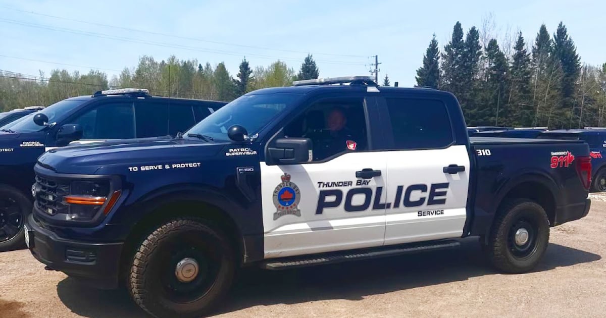 Thunder Bay man tried to disarm officer: police