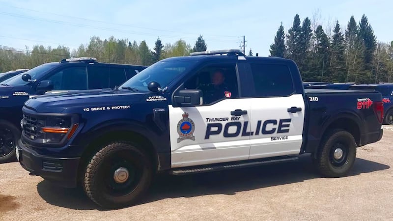 Thunder Bay police say Canada Day assault may have been racially motivated