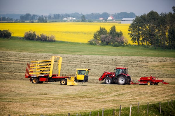 ‘Definitely not a step backwards’: Manitoba canola farmers react to trade deal with China