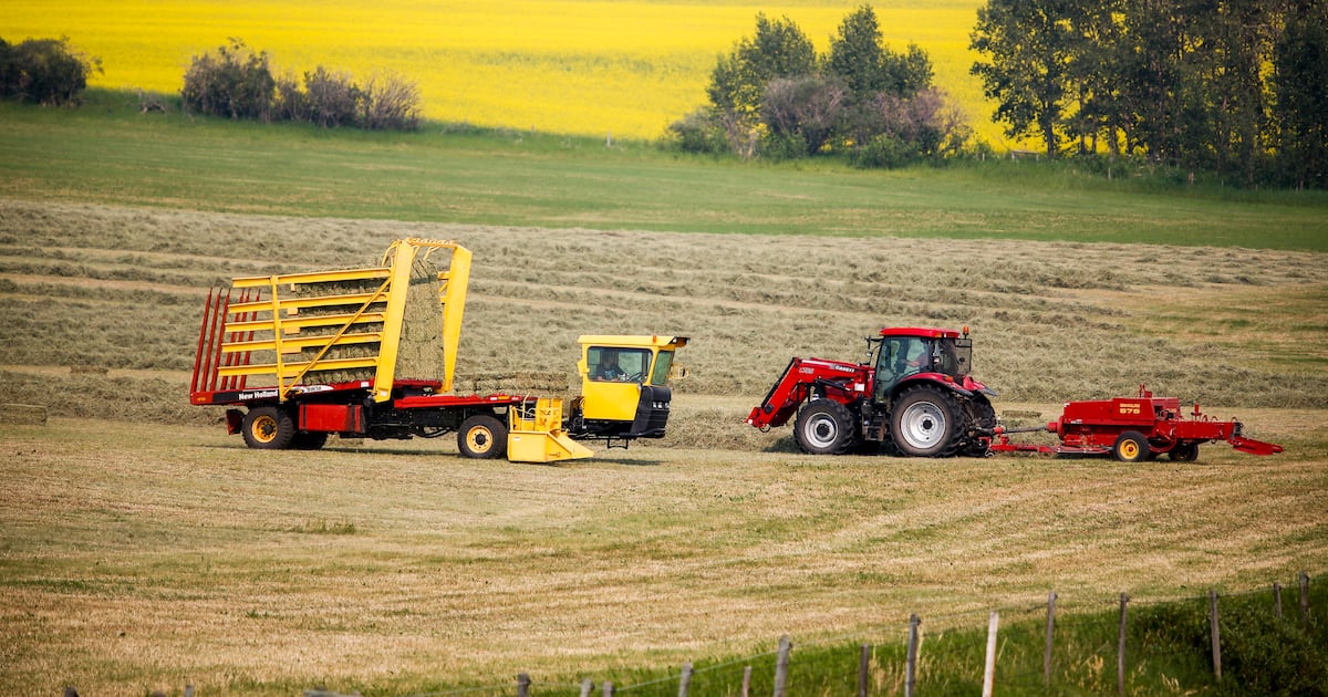 ‘Definitely not a step backwards’: Manitoba canola farmers react to trade deal with China