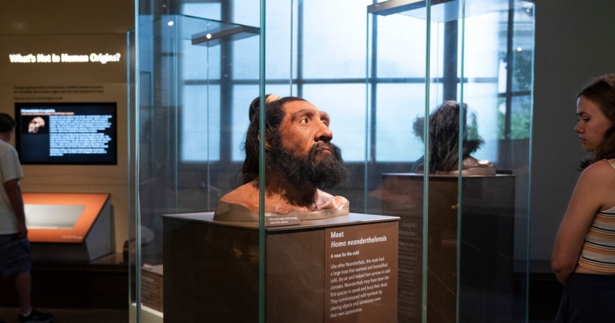 Extinct Genetics We carry DNA from extinct cousins like Neanderthals. Science is now ...