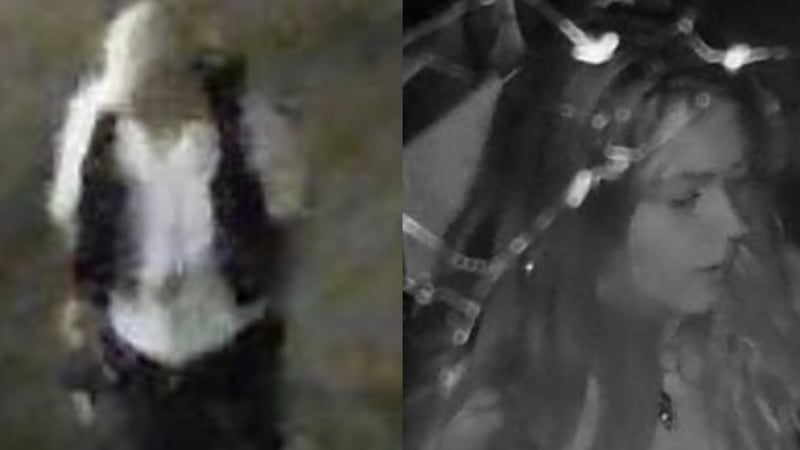 2 suspects wanted for stealing alcohol from Toronto Islands restaurant: police