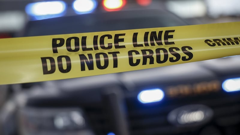 Man walking dog was kidnapped, vehicle stolen: Calgary police