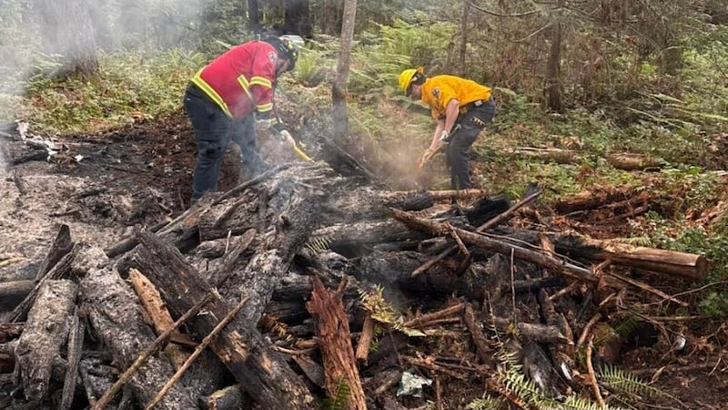 Suspicious fire extinguished in Port Alberni area during burn ban