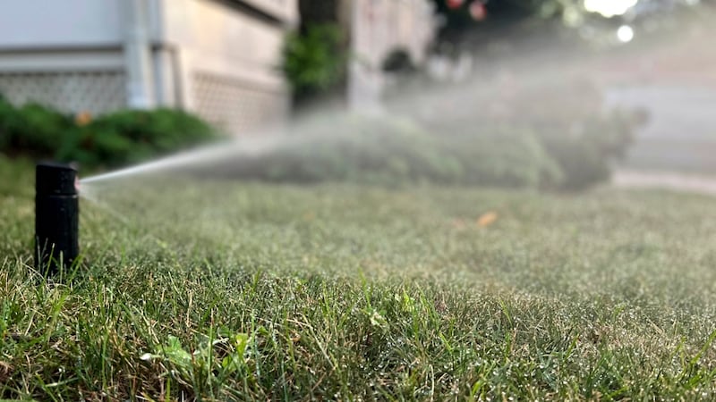 Dry weather prompts Stage 3 restrictions in Nanaimo