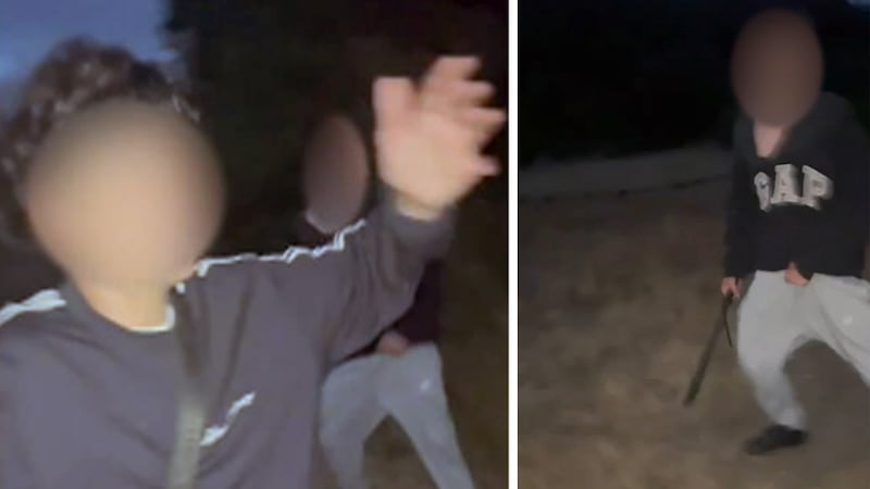 ‘Everything changed in a split second’: Witness recounts Victoria, B.C., machete attack