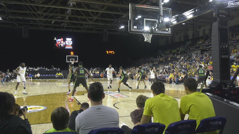 Edmonton Stingers lose to Niagara River Lions