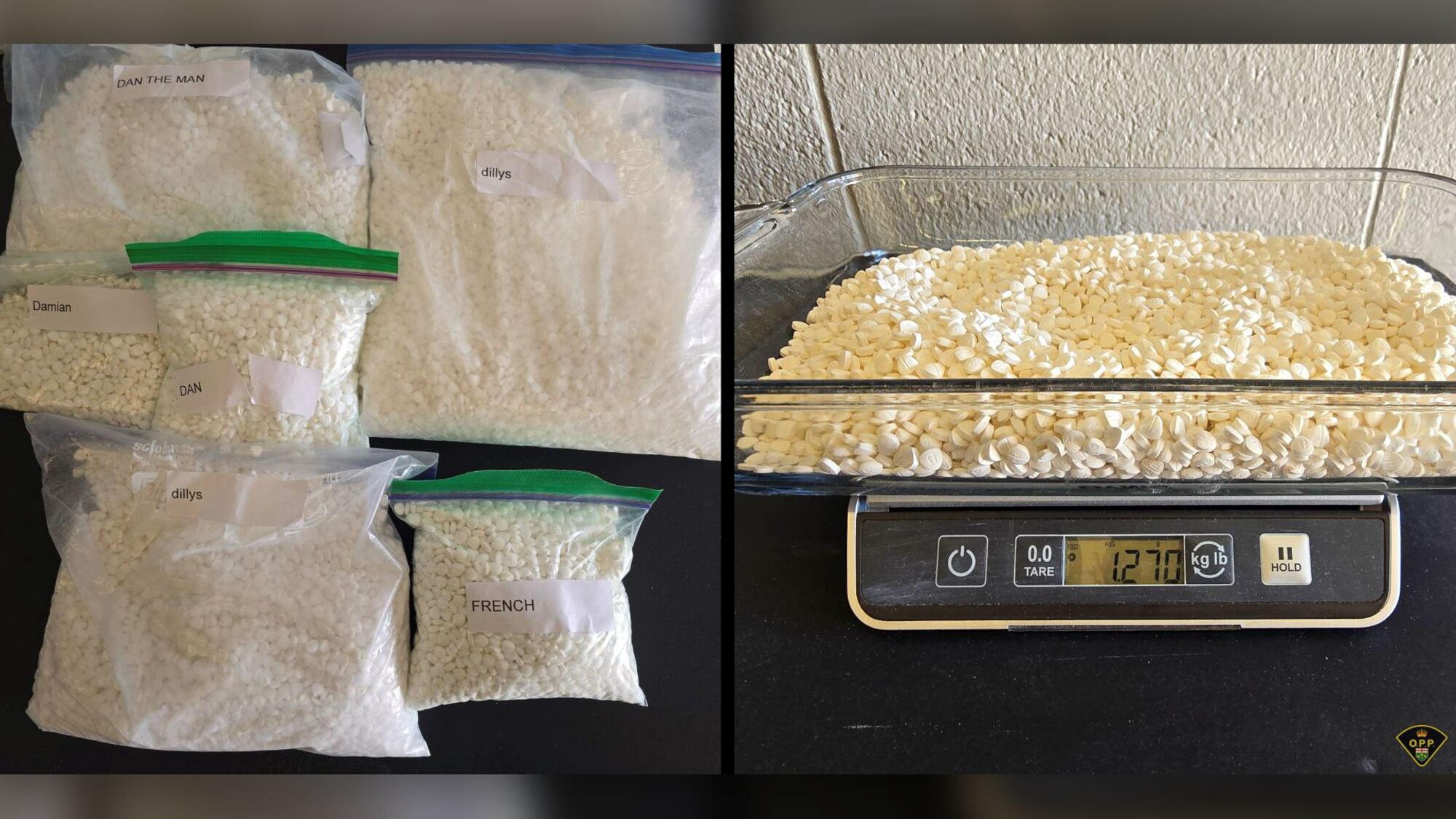 Project BIONIC results in major drug bust in Ottawa – CTVNews