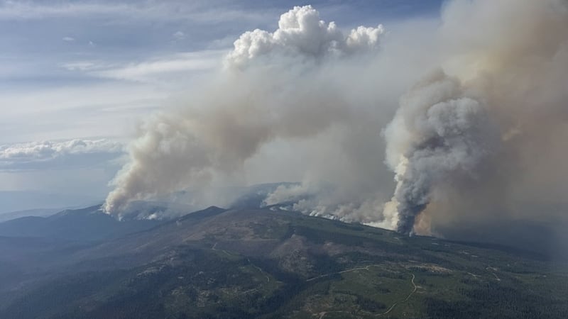 Residents warned to prepare for changes when returning home after a wildfire