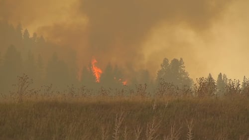 ‘The emergency isn’t over’: Chief of evacuated B.C. First Nation provides wildfire update