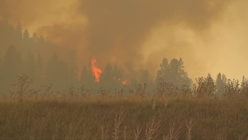‘The emergency isn’t over’: Chief of evacuated B.C. First Nation provides wildfire update