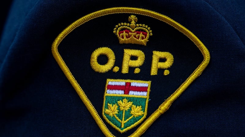 Perth Line 43 near Stratford closed due to large fallen tree
